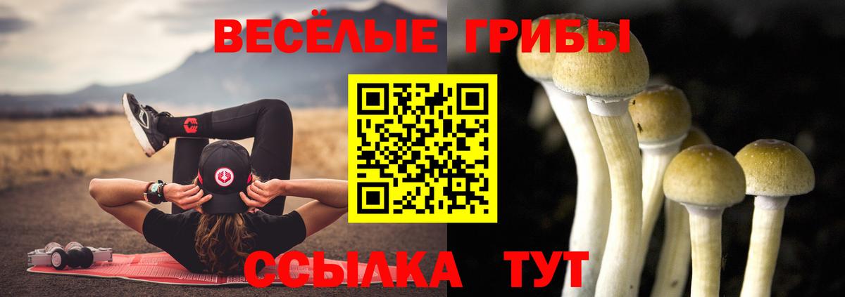 Псилоцибиновые грибы мухоморы  Галлюциногенные грибы MAGIC MUSHROOMS  Славянск-на-Кубани  где найти   Вход с VPN 